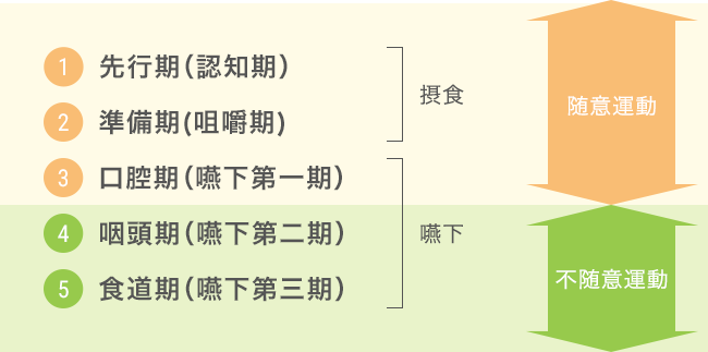 Mazii - Rated #1 Japanese English Dictionary Online