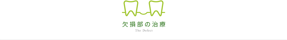 The Defect 欠損部の治療