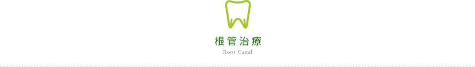 Root Canal 根管治療