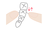 ゆっくりフロスを上下に動かし 両隣の歯の歯垢を掻き出しましょう。