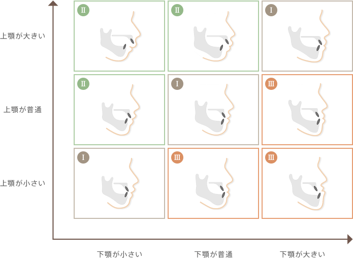 骨格と種別一覧