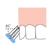 斜め45度で歯ブラシを当てる