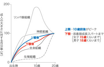 成長図